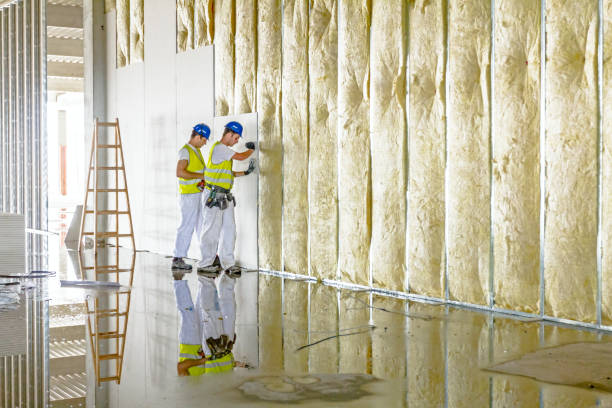 Best Commercial Insulation in Culver City, CA